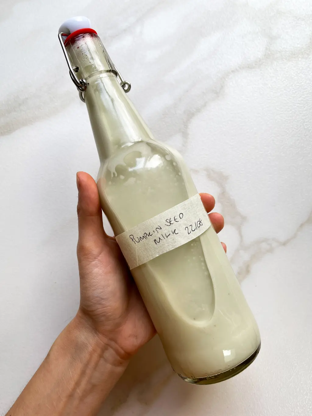 Instant Pumpkin Seed Milk